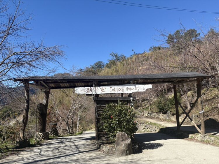 最美部落司馬庫斯賞櫻 可不能「說走就走」