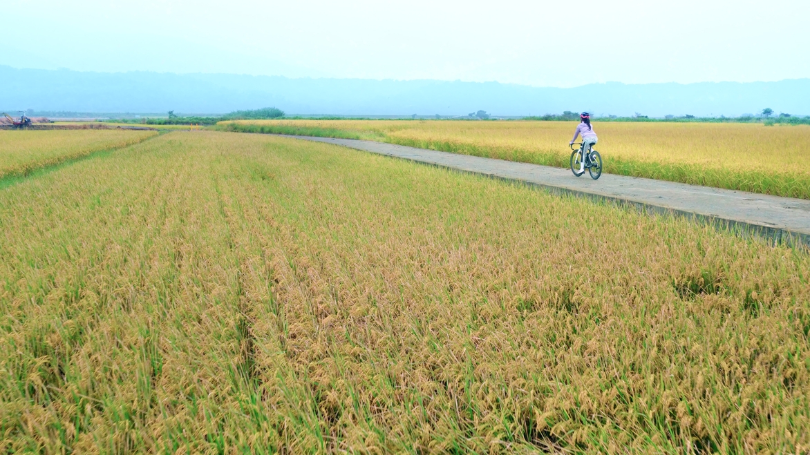 冬日花東暖心行！「花東出鏟的幸福」加碼雙重抽 終極大獎壓軸倒數