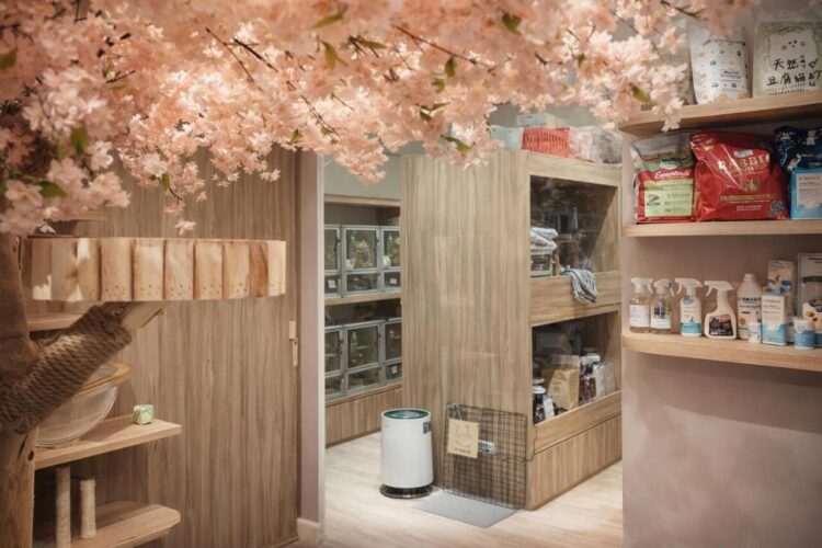 台中北區特色茶飲店 結合龍貓療癒與親子友善溫柔外帶選擇