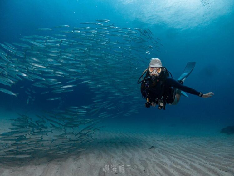 小琉球潛水課程 零經驗也能下潛 打開人生第一次藍色冒險