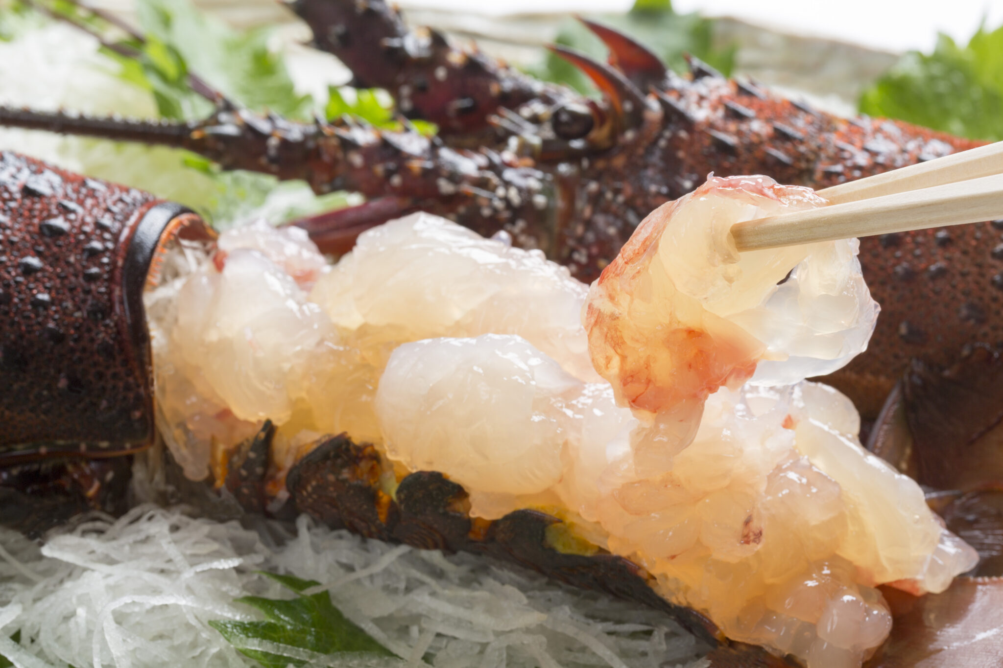 日本關西近郊旅遊延伸熱門地區黑馬是「這裡」 內行人才懂景點大公開