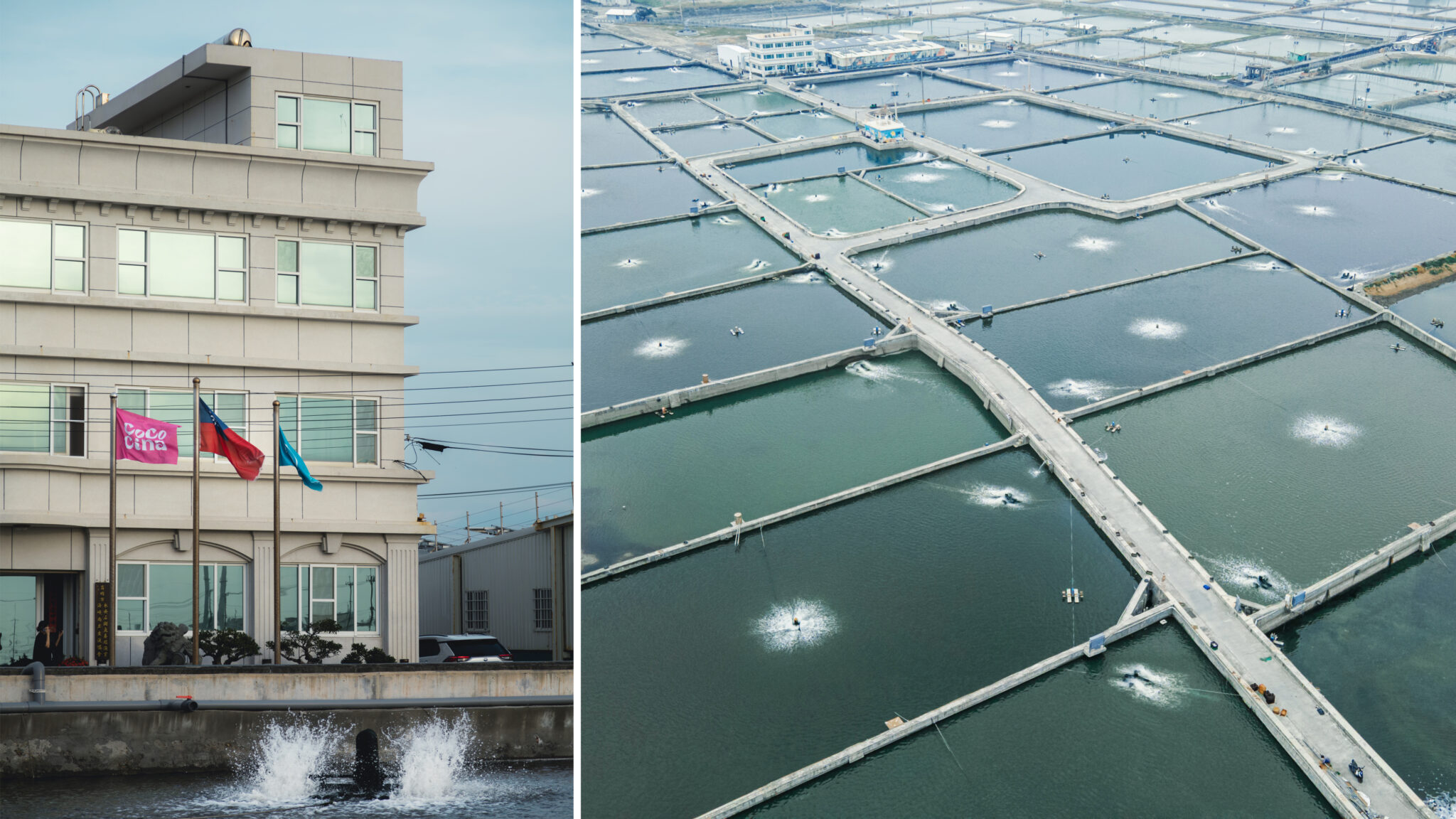 台灣水產養殖新革命 Cococina導入獨家「LNG 鑽石水」系統 打造歐盟級鮮美海味