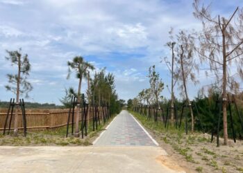 鳳坑沙灣遊憩設施升級 紅豆餅親水階梯完工啟用