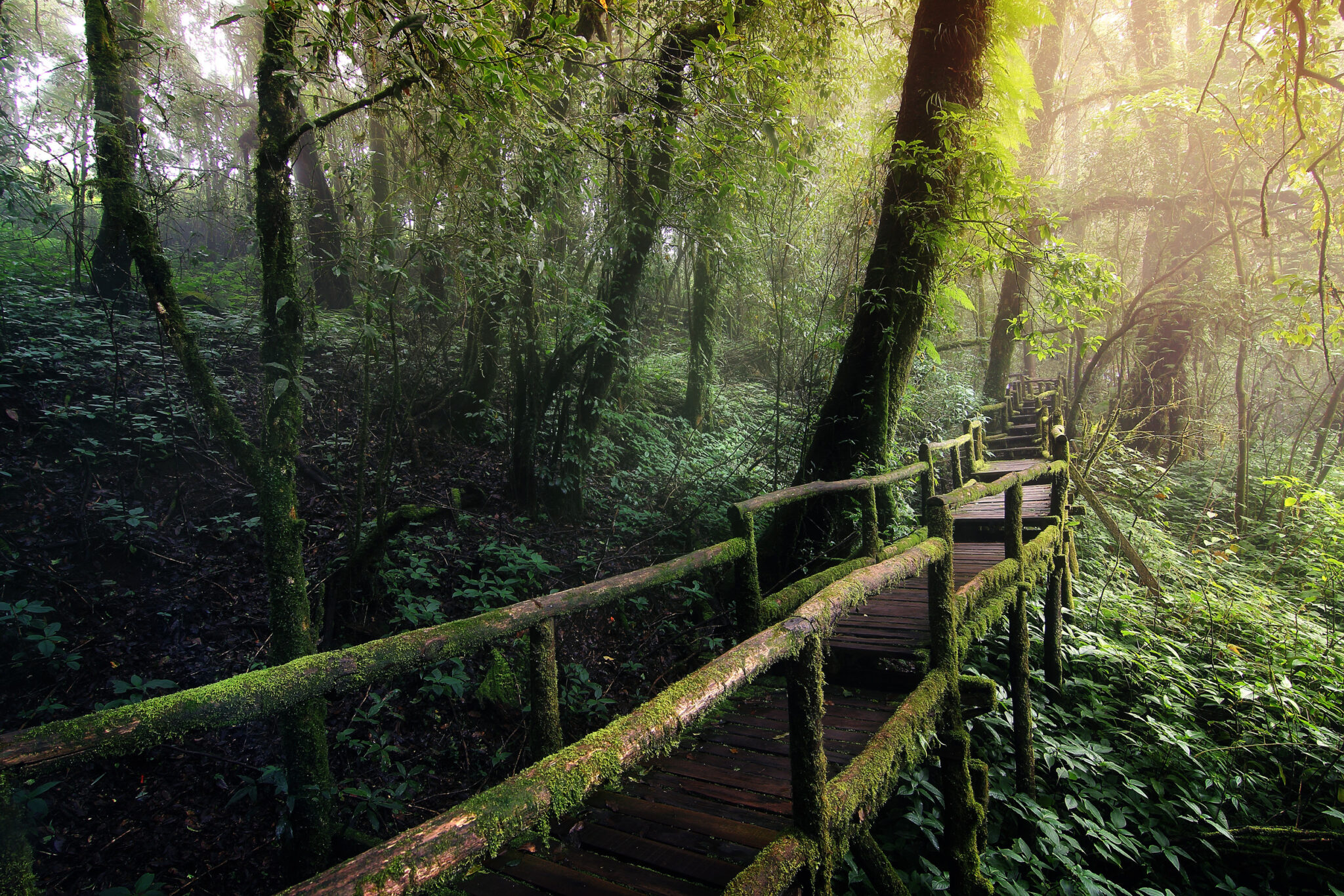 誰說出國一定要發限動?5個數位排毒聖地讓妳找回靈魂 誰說出國一定要發限動?5個數位排毒聖地讓妳找回靈魂