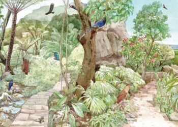 白天黑夜都精彩!臺北淺山生態摺頁揭開城市與自然共生的秘密世界 白天黑夜都精彩!臺北淺山生態摺頁揭開城市與自然共生的秘密世界