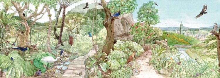 白天黑夜都精彩!臺北淺山生態摺頁揭開城市與自然共生的秘密世界 白天黑夜都精彩!臺北淺山生態摺頁揭開城市與自然共生的秘密世界