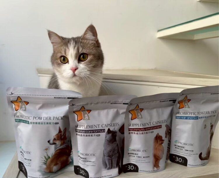 寵星以愛心為初心!周年慶感恩登場 買二送一回饋飼主 寵星以愛心為初心!周年慶感恩登場 買二送一回饋飼主