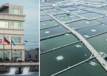 台灣水產養殖新革命！Cococina 導入獨家「LNG 鑽石水」系統，打造歐盟級鮮美海味