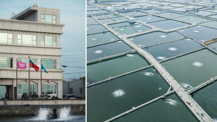 台灣水產養殖新革命！Cococina 導入獨家「LNG 鑽石水」系統，打造歐盟級鮮美海味