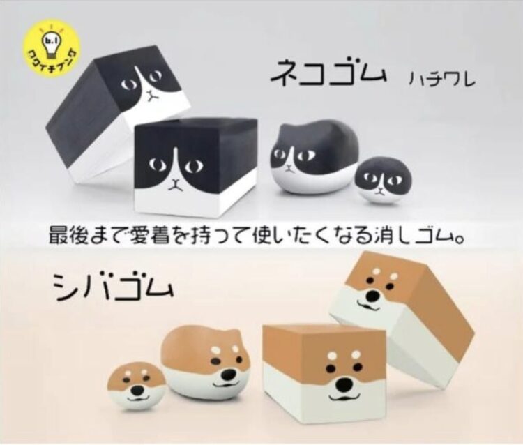 2026日本Loft必買全攻略!這8樣「神級好物」讓台灣人瘋搶 2026日本Loft必買全攻略!這8樣「神級好物」讓台灣人瘋搶