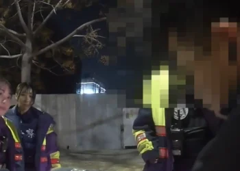 節安勤務奏效！台中警寒夜盤查逮詐欺通緝犯