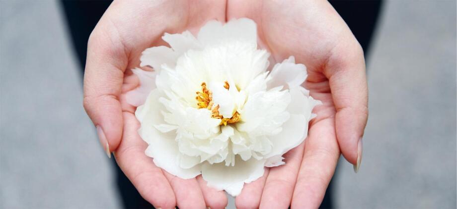 顛覆傳統殯葬印象 台灣仁本首創故事式告別 點亮家屬安心之光 顛覆傳統殯葬印象 台灣仁本首創故事式告別 點亮家屬安心之光