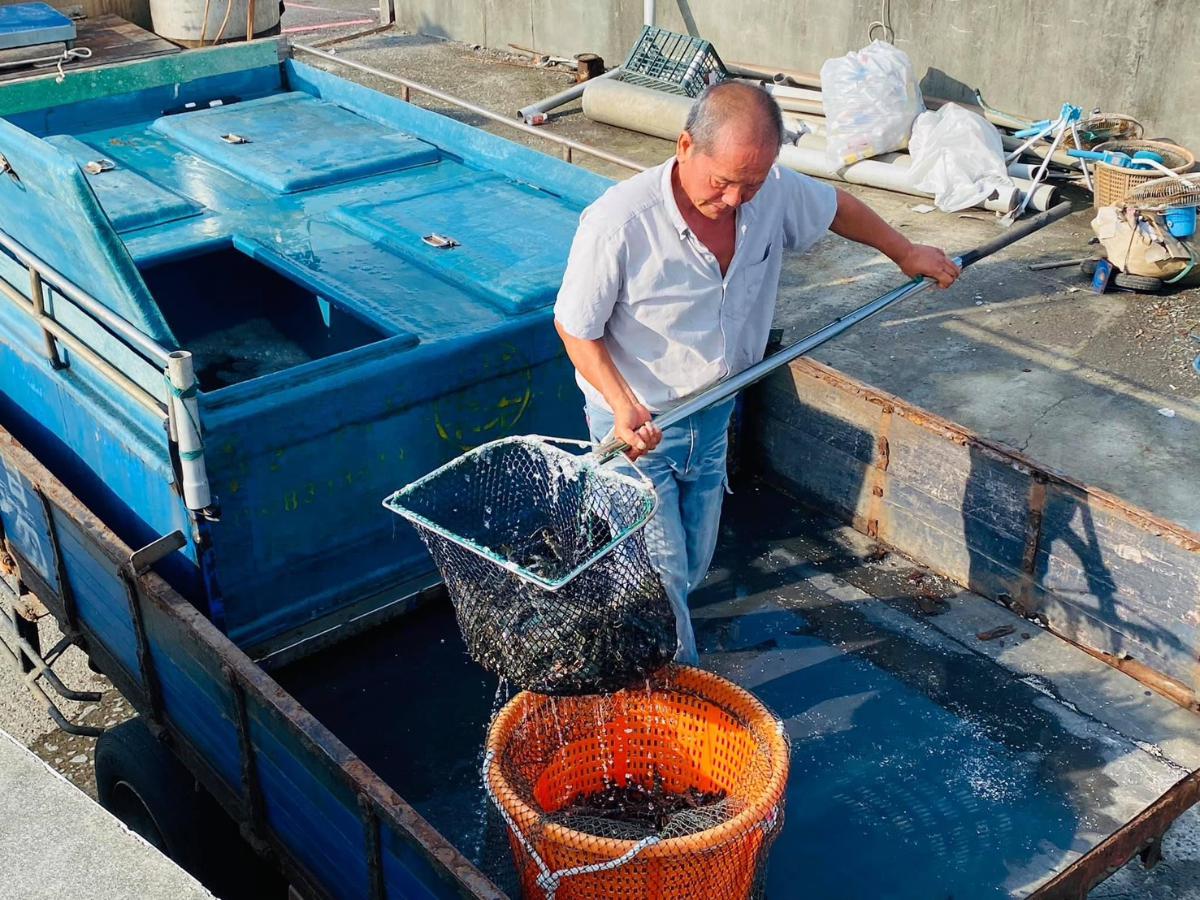 宜蘭五結釣蝦場 釣蝦＋熱炒＋自助烤肉 雨天也能玩 打造全天候休閒空間