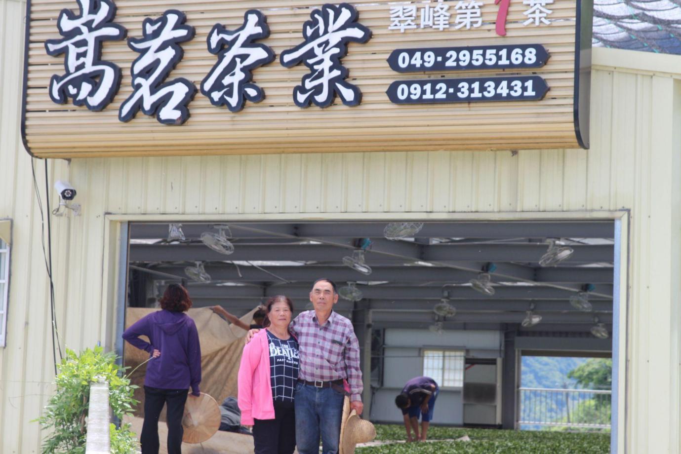 南投高山茶葉怎麼挑？茶農用「直售＋體驗」把茶園故事帶到你手上