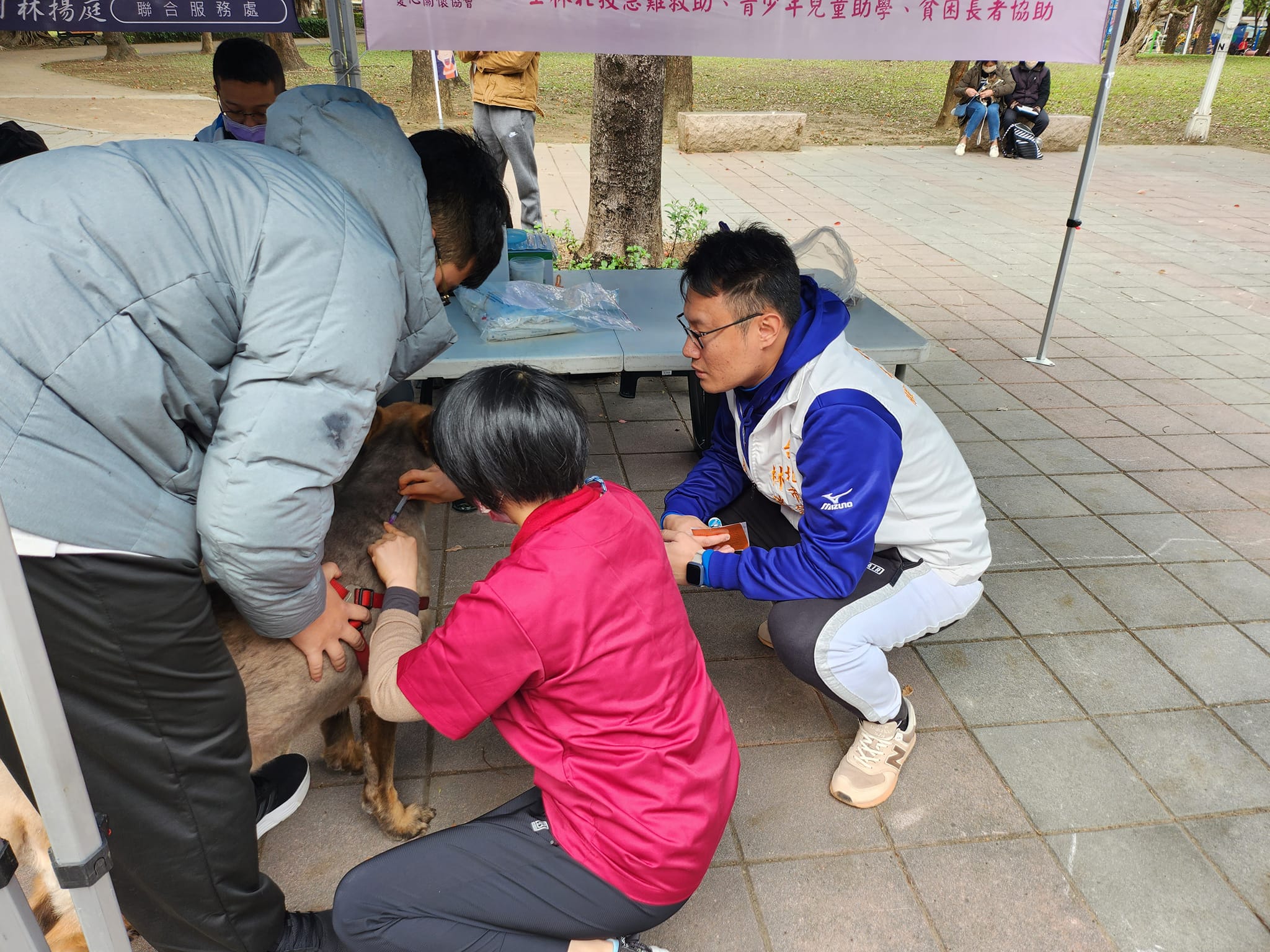 傳承林瑞圖服務精神 林揚庭深耕士林北投 從寵物健檢到老少共學 暖心計畫曝光