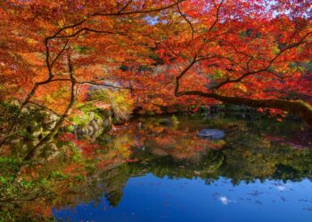 不管另一半是過動兒還是沙發馬鈴薯 這8個異國約會提案都能重燃愛火