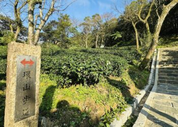隱身南港的綠色秘境！漫遊茶山步道品味包種茶香 O²走讀之旅好清新