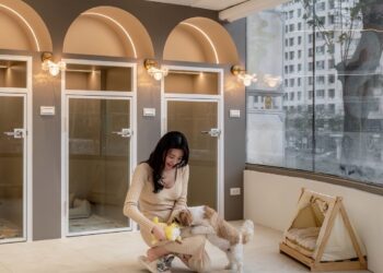 寵物照護再升級 沛思拓點農十六 主打「不關籠陪伴」