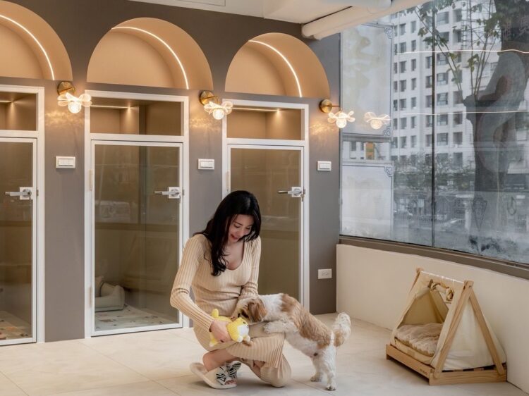 寵物照護再升級 沛思拓點農十六 主打「不關籠陪伴」