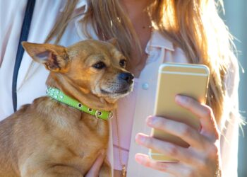 寵物科技崛起！科技正在全面改寫毛孩照護產業