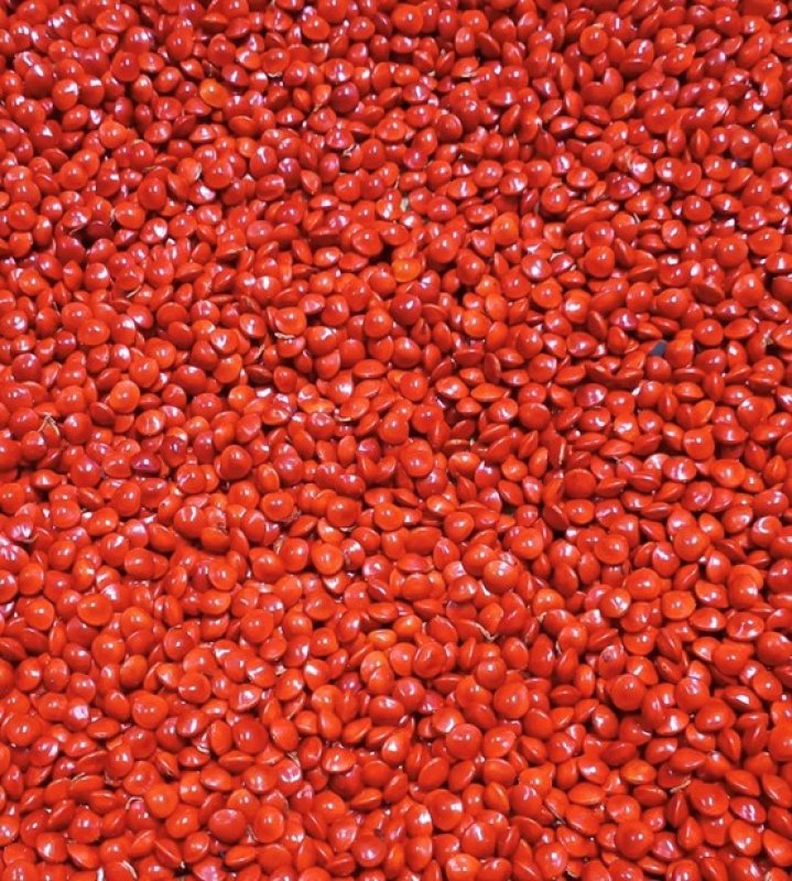 【薄教授命理週記】大衍筮法預測考試運勢