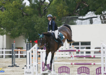 馬術》陳芃蓁國際馬術初試鍊 勾勒遠眺新起點