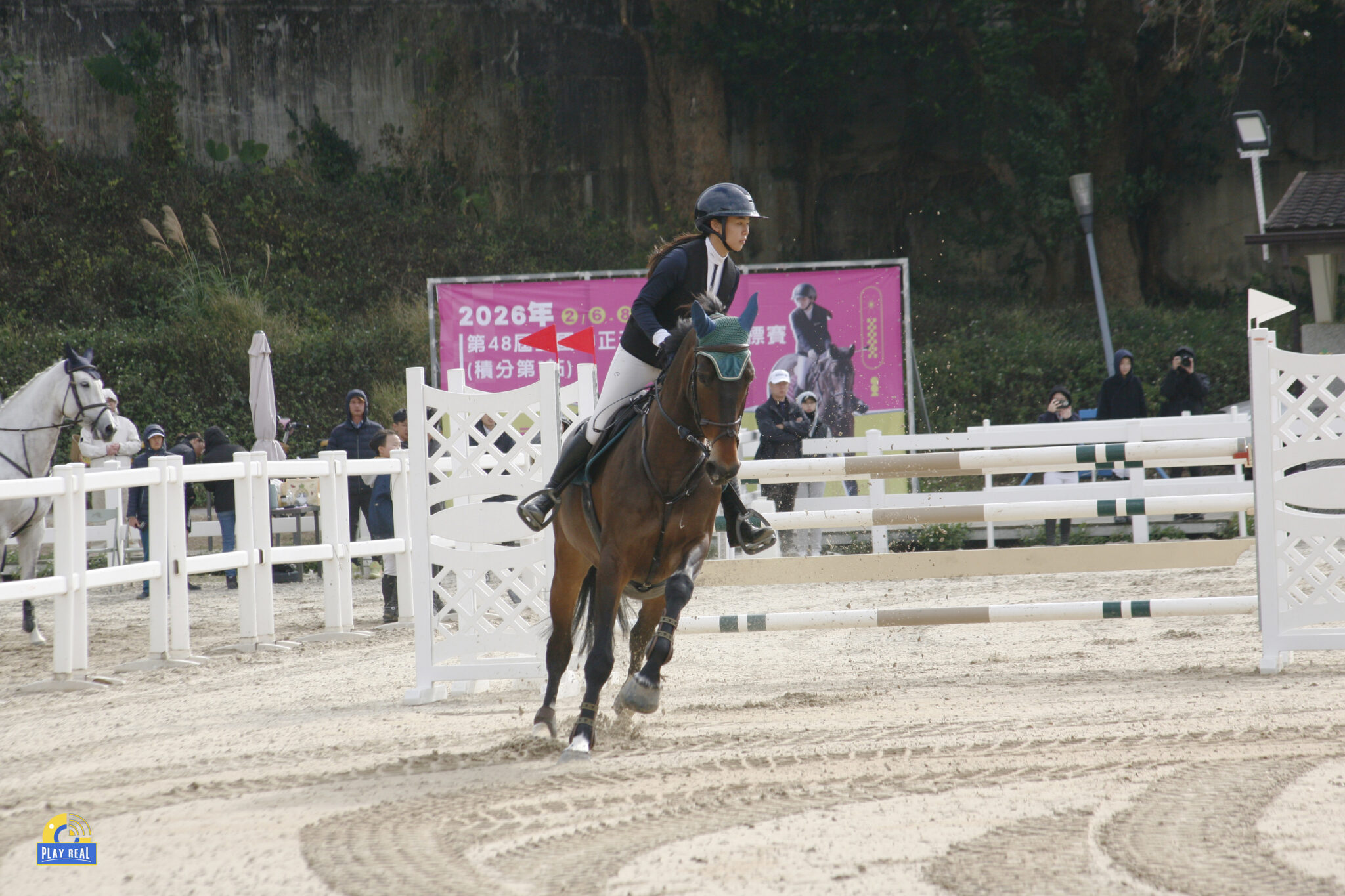 馬術》陳芃蓁國際馬術初試鍊 勾勒遠眺新起點