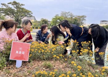 還記得那株小苗嗎？」 植樹節前夕高雄區監理所邀民眾一同見證花開時刻