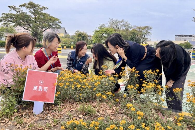 還記得那株小苗嗎？」 植樹節前夕高雄區監理所邀民眾一同見證花開時刻