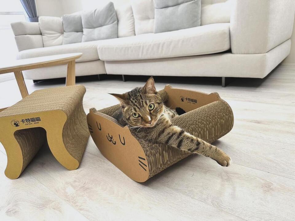 耐抓貓抓板推薦 結構穩定、掉屑少 用得更安心更長久