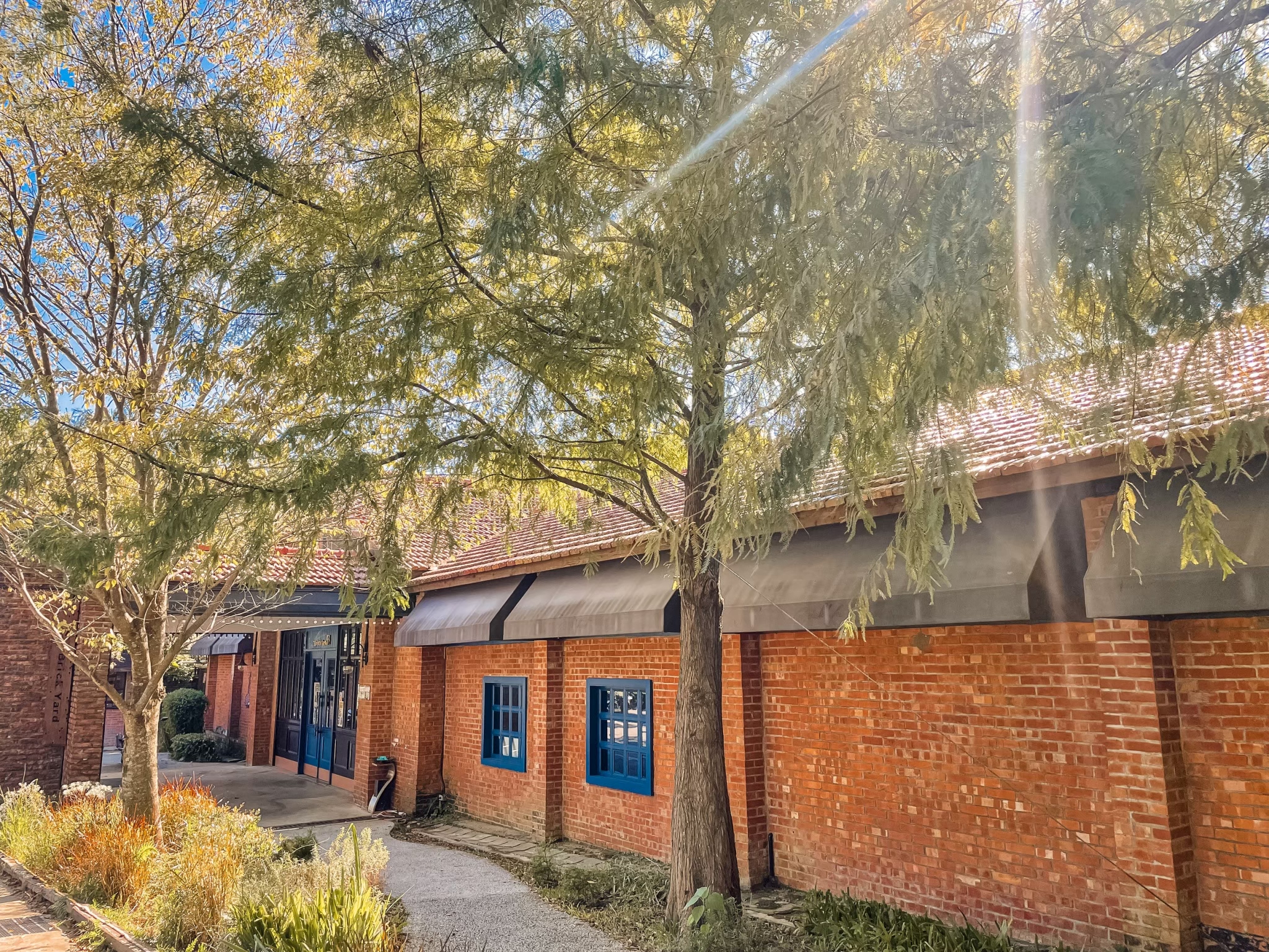 「春光森林野餐日」邀請親子家庭共創最溫柔的週末時光