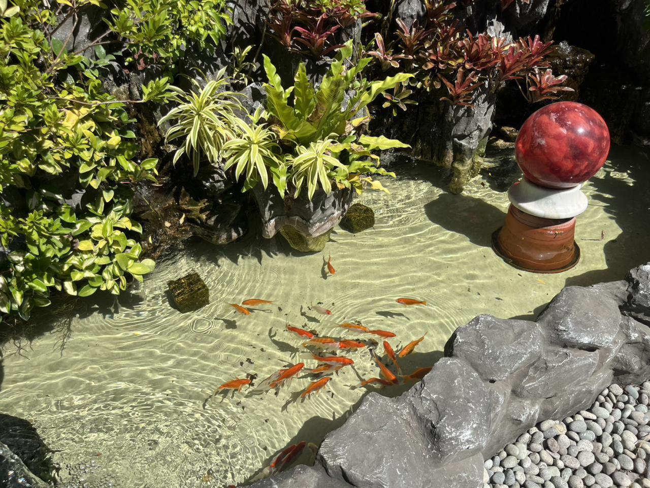 淨水界台灣之光 NOVATICS專利技術定義安心用水新標竿