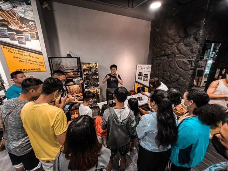 高雄爬蟲專賣店深耕在地 打造讓親子安心入門飼養體驗空間 高雄爬蟲專賣店深耕在地 打造讓親子安心入門飼養體驗空間