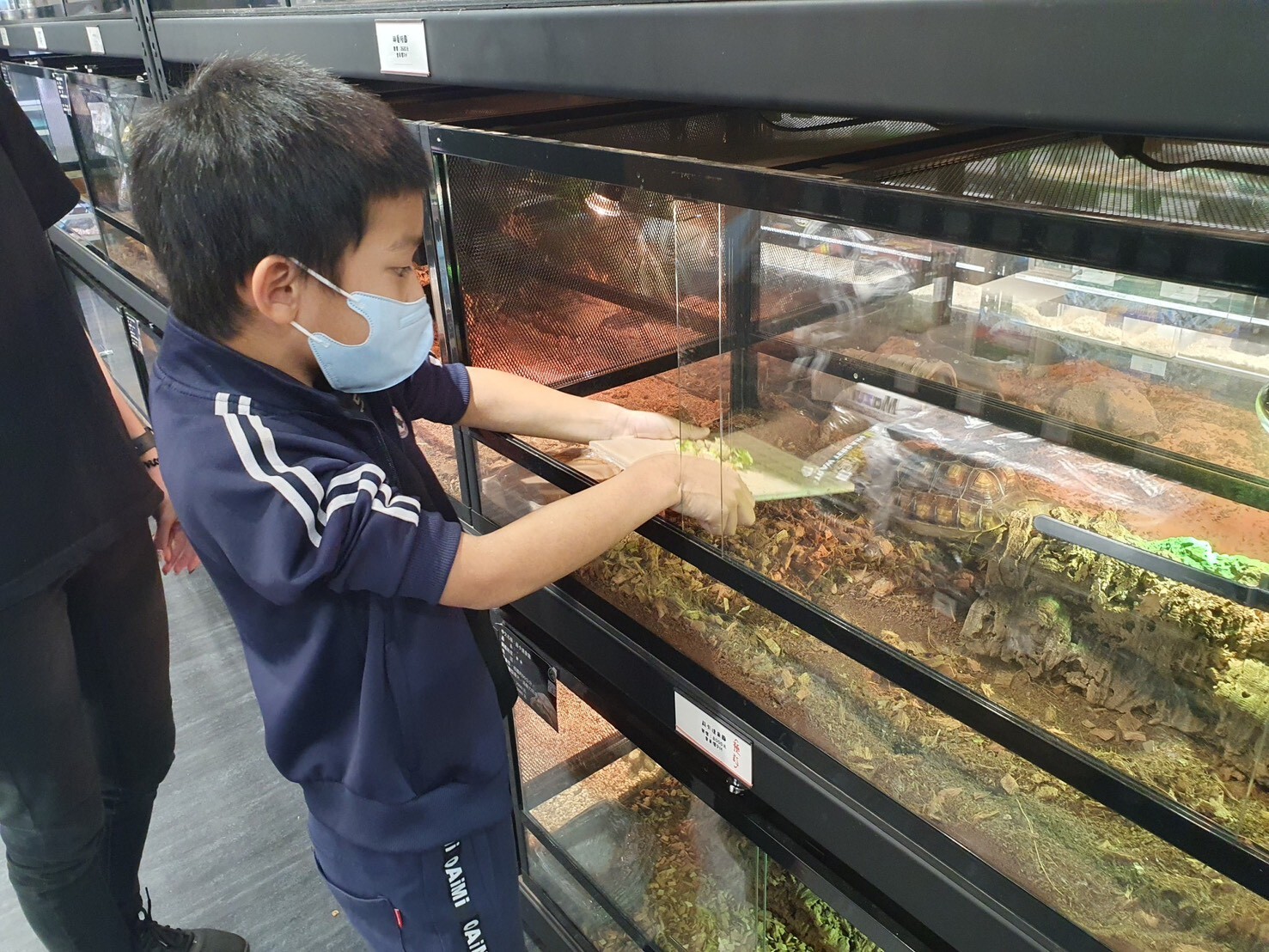 高雄爬蟲專賣店深耕在地 打造讓親子安心入門飼養體驗空間 高雄爬蟲專賣店深耕在地 打造讓親子安心入門飼養體驗空間