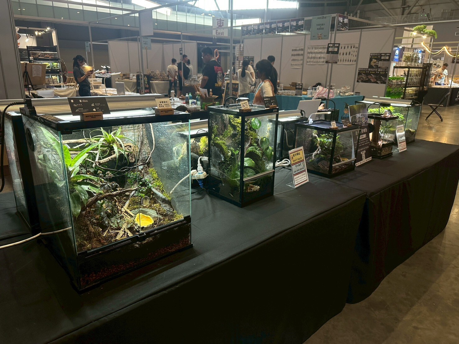 高雄爬蟲專賣店深耕在地 打造讓親子安心入門飼養體驗空間 高雄爬蟲專賣店深耕在地 打造讓親子安心入門飼養體驗空間