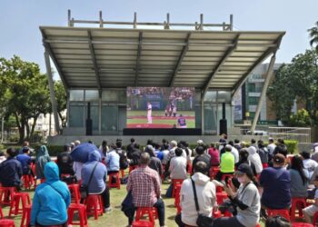 2026WBC世界棒球經典賽熱力席捲臺南 臺南市體育局雙場地轉播助球迷熱血應援