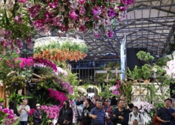 AI花海邂逅春日浪漫 2026臺灣國際蘭展串聯燈會打造婦女節蘭花賞花新體驗