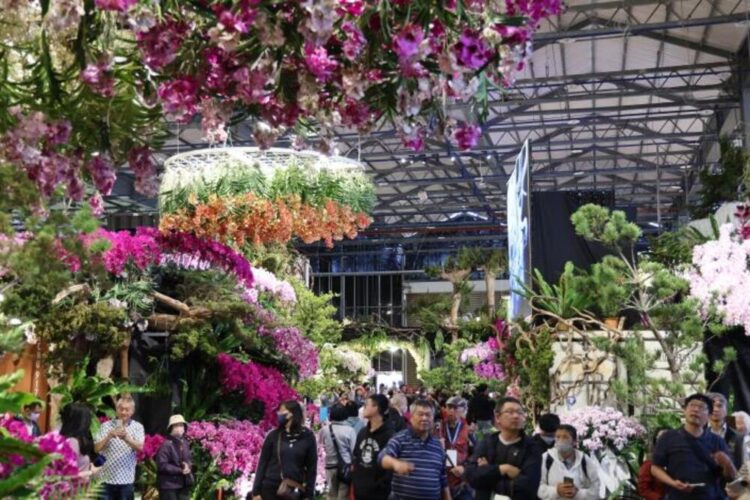 AI花海邂逅春日浪漫 2026臺灣國際蘭展串聯燈會打造婦女節蘭花賞花新體驗