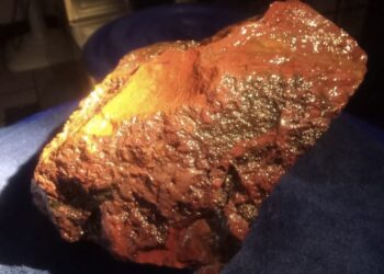 前鎮便當店藏招財石「招富貴紅蟾蜍」民眾摸完直奔買彩券 掀招財熱潮