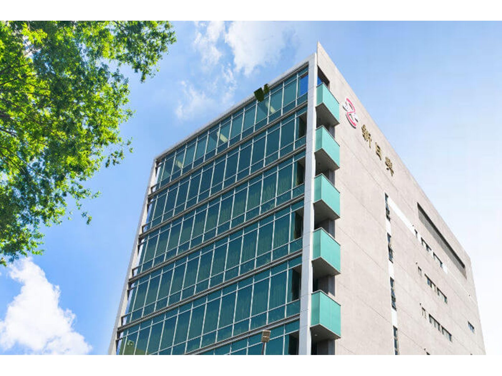 第三季前你必須認識的蘋概股 : 新日興(3376)