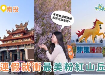 南投一日遊｜連假直衝最美粉紅山丘 麝香木花海＋集集武昌宮＋集集車站順遊攻略