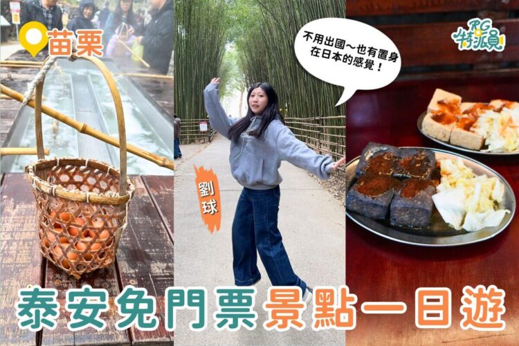苗栗一日遊｜泰安免門票景點這樣玩！溫泉煮蛋、竹林秘境、洗水坑豆腐街一次收