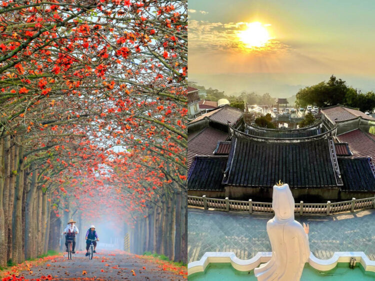 台南一日遊｜浪漫木棉花、百年的傳說奇景，靜待旅人來訪的蓮鄉白河！