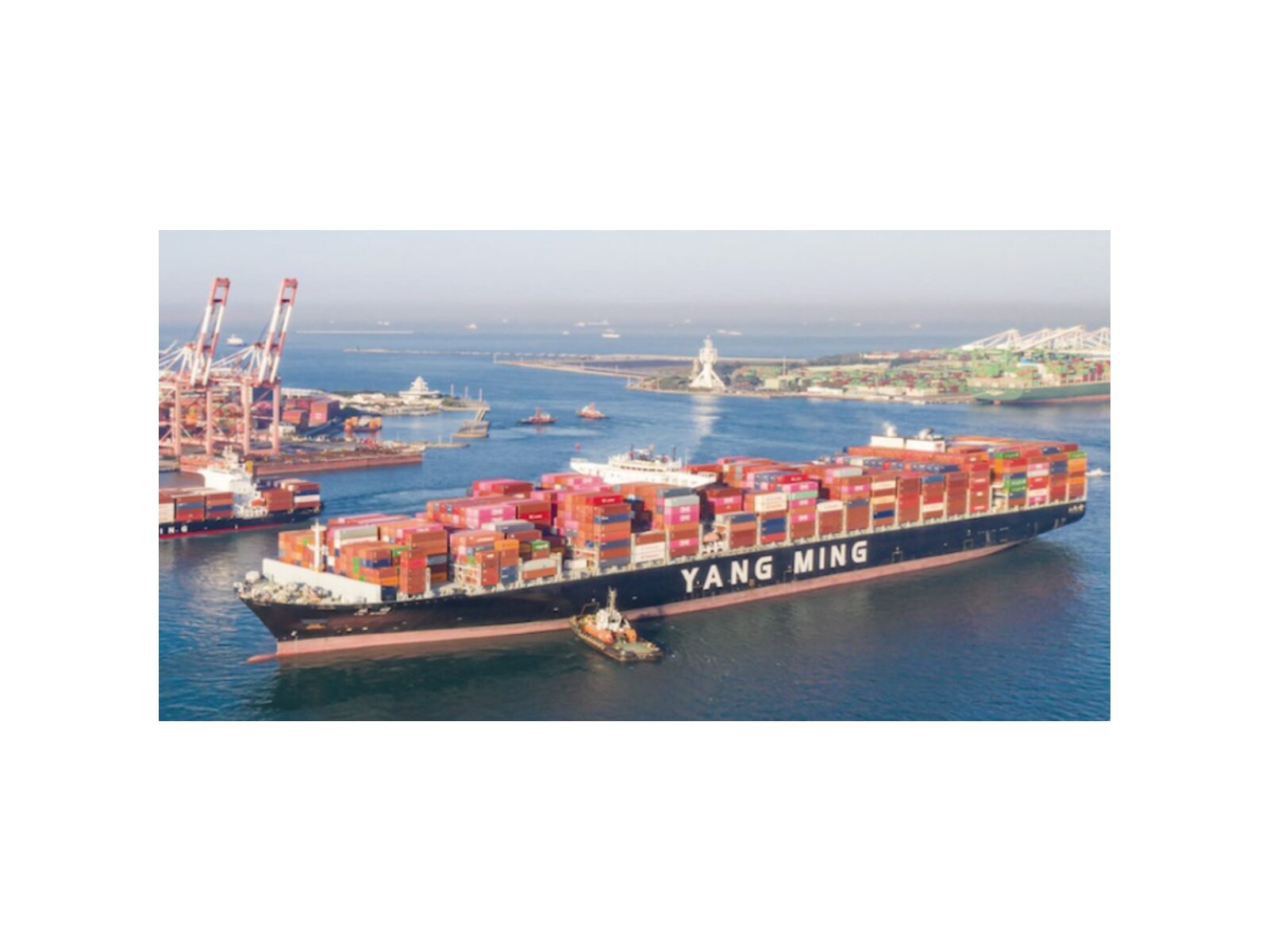 貨櫃三雄成市場避險標的 3日陽明爆巨量尾盤攻上漲停作收