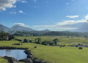 茶香咖啡香席捲六十石山 2026「茶香咖韻」打造最Chill春日山野盛宴4月11日登場