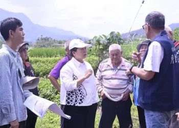 富里鄉復興橋、農花富230農路將開工徐榛蔚縣長親赴富里視察