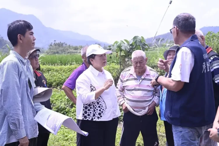富里鄉復興橋、農花富230農路將開工徐榛蔚縣長親赴富里視察