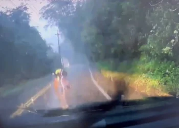 橫山警與民眾合力推滾路面落石 守護行車安全