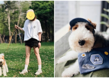 女網友驚見愛犬與SNOOPY「神同步」？NB春季SNOOPY布章萌翻社群