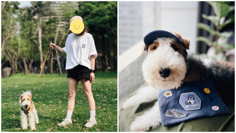 女網友驚見愛犬與SNOOPY「神同步」？NB春季SNOOPY布章萌翻社群